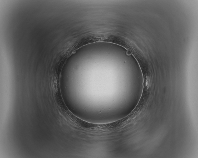 X0000112730867200908201324