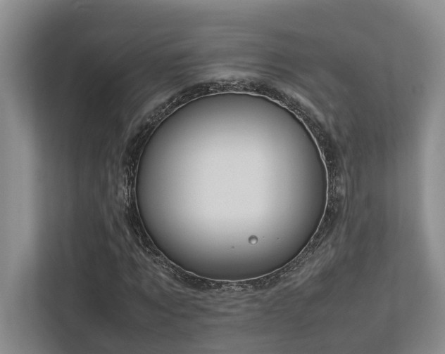 X0000112730869200908201324