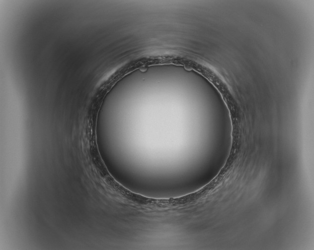 X0000112730871200908201324