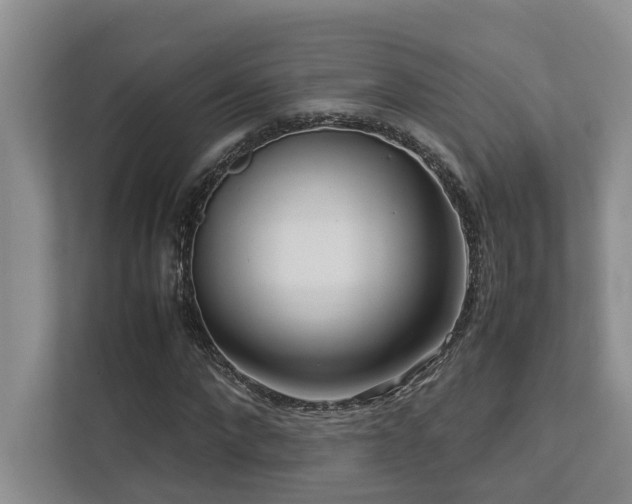 X0000112730872200908201324