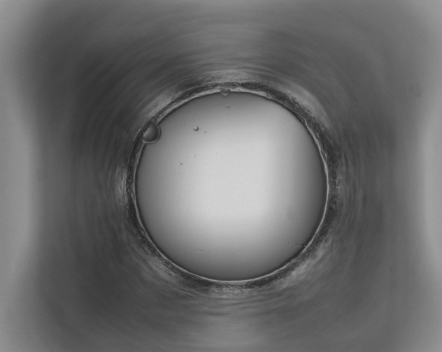 X0000112730873200908201324