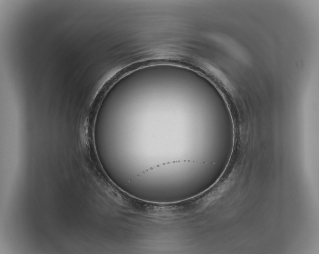 X0000112730875200908201324