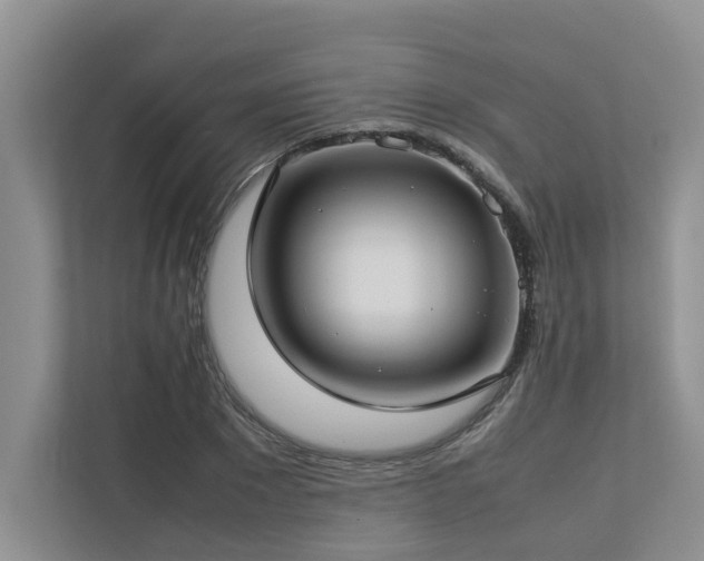 X0000112730881200908201324