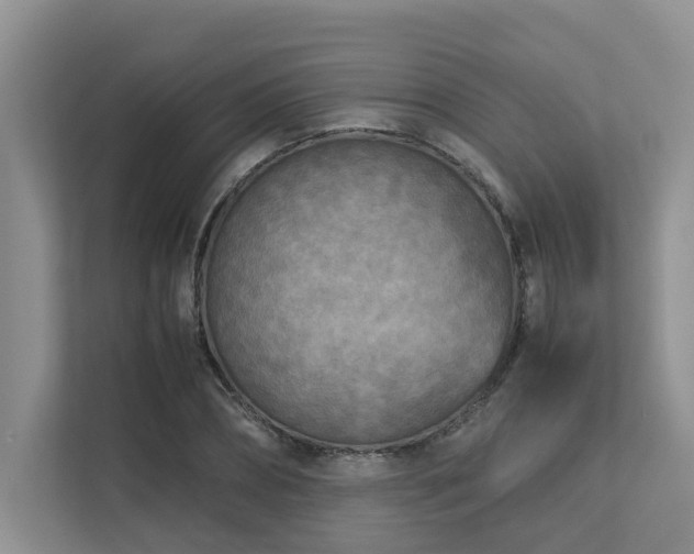 X0000112730882200908201324