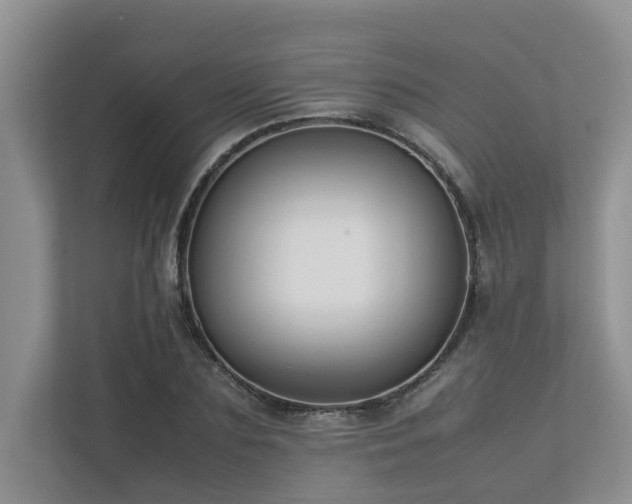 X0000112730883200908201324