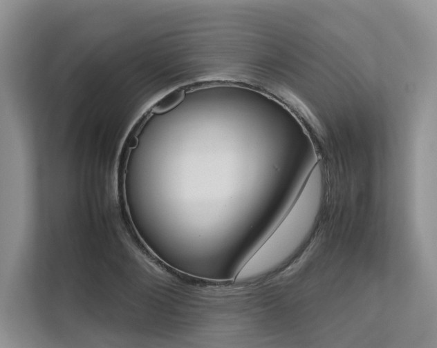 X0000112730884200908201323