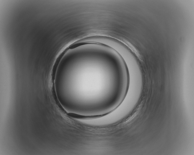 X0000112730885200908201323