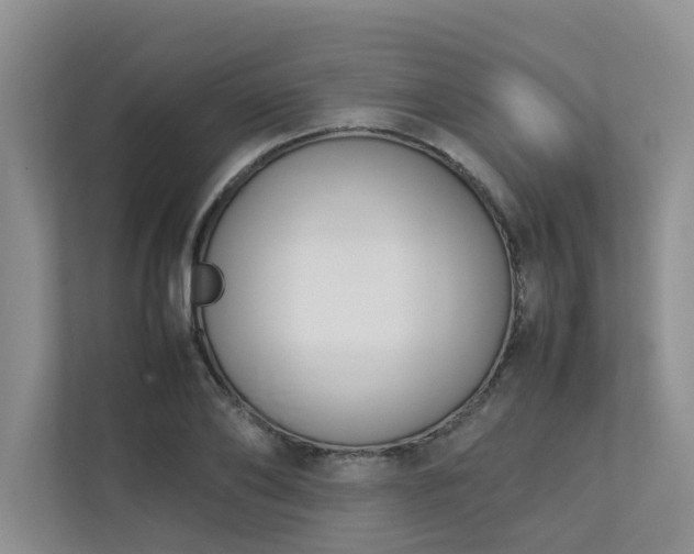 X0000112730886200908201323