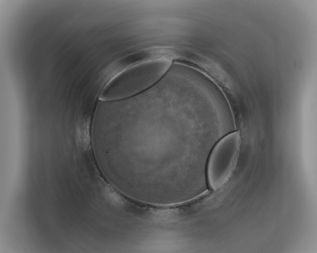 X0000112730889200908201323