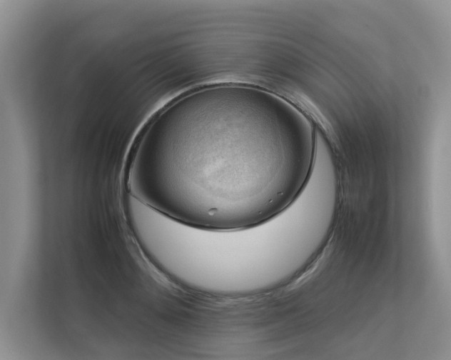 X0000112730892200908201323