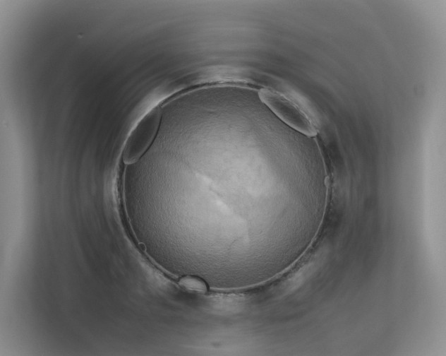 X0000112730893200908201323