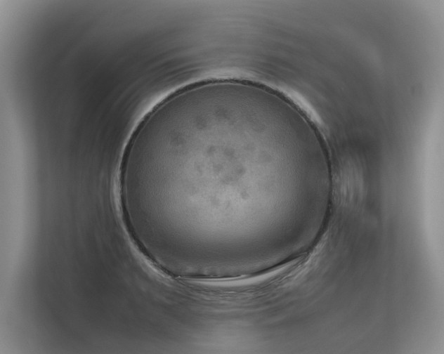 X0000112730895200908201323