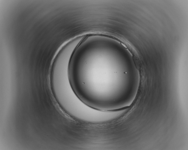 X0000112730896200908201323