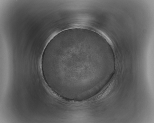 X0000112730899200908201323