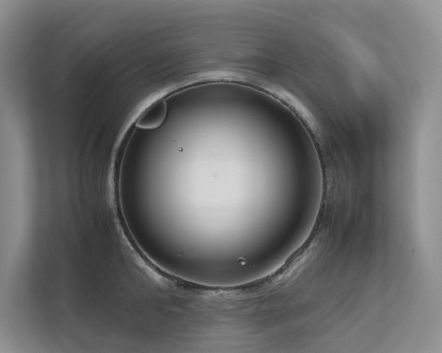 X0000112730902200908201323