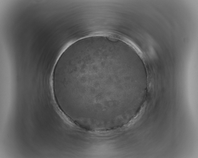 X0000112730907200908201323