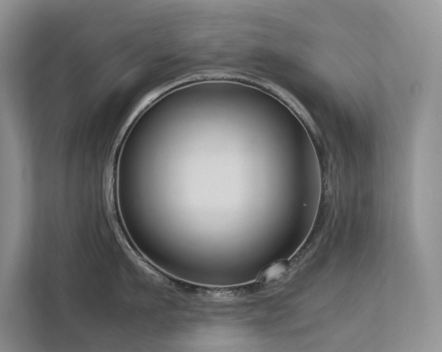 X0000112730911200908201323