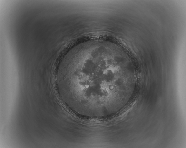 X0000112730913200908201322