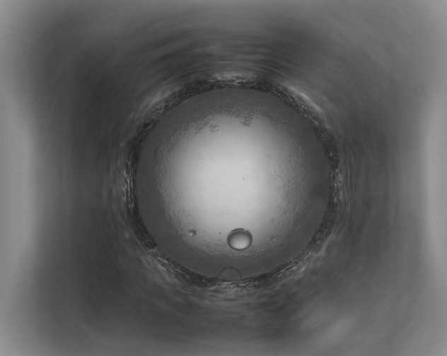 X0000112730917200908201323