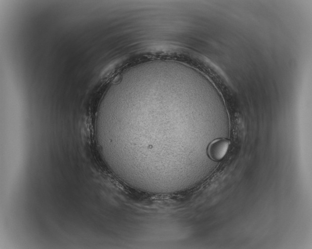 X0000112730918200908201323