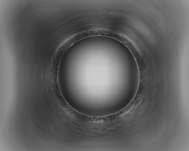 X0000112730919200908201323