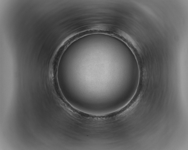 X0000112730923200908201323