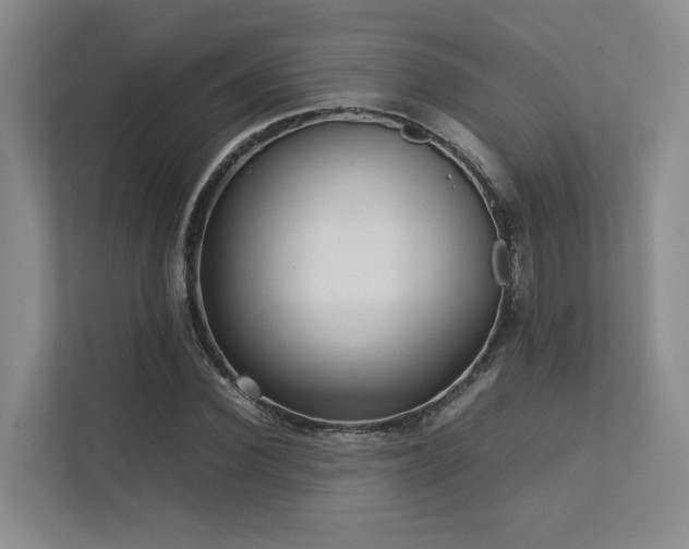 X0000112730924200908201323