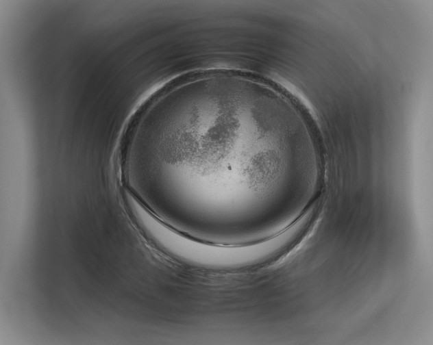 X0000112730925200908201323