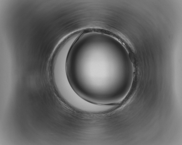 X0000112730926200908201323