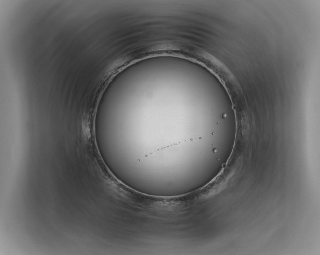 X0000112730929200908201323