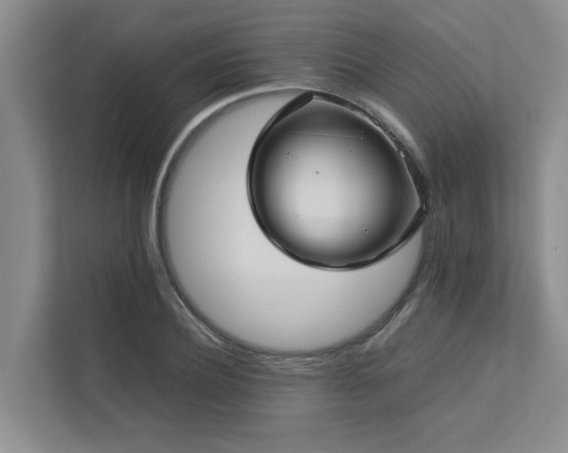 X0000112730932200908201323