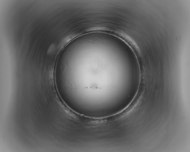 X0000112730937200908201323