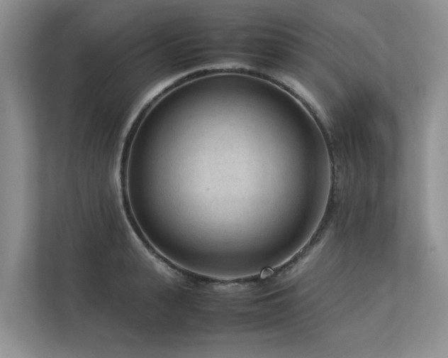 X0000112730943200908201323