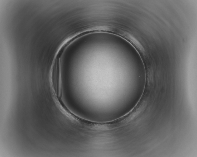 X0000112730944200908201323