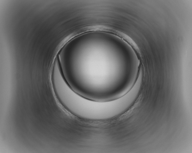 X0000112730946200908201323