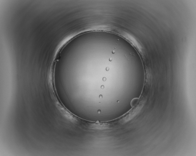 X0000112730952200908201323