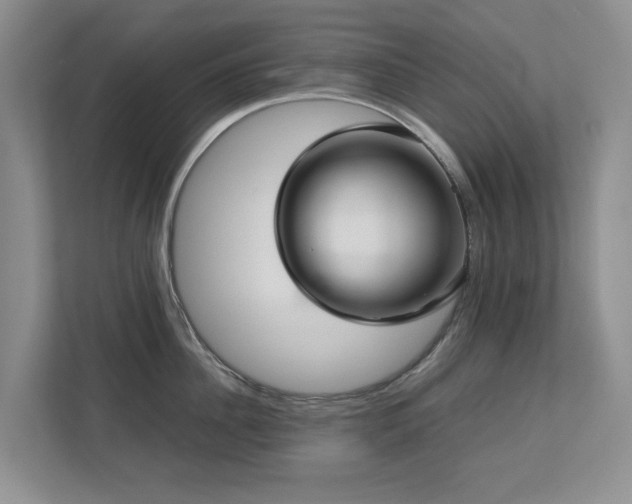 X0000112730956200908201323