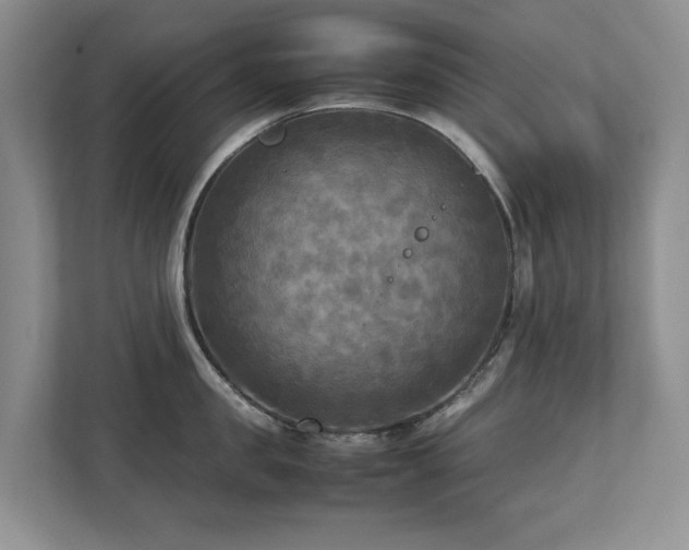 X0000112730957200908201323