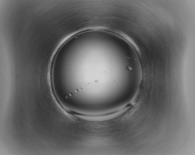 X0000112730959200908201323