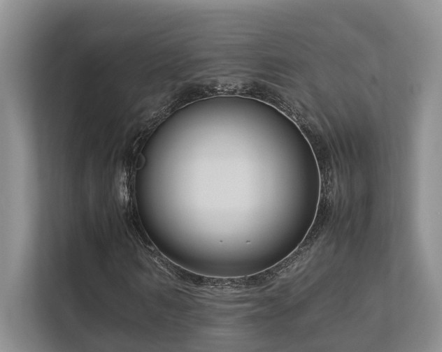 X0000112730962200908201322