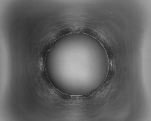 X0000112730963200908201322