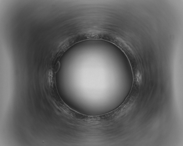 X0000112730964200908201322