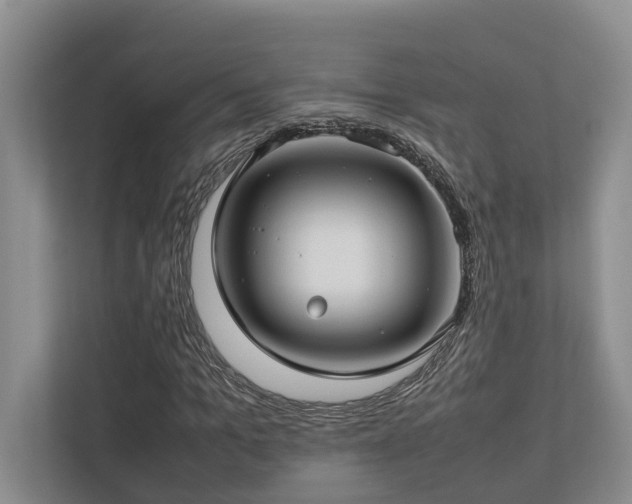 X0000112730965200908201322