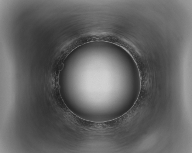 X0000112730966200908201322