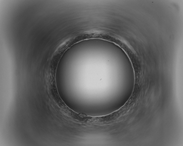 X0000112730967200908201322