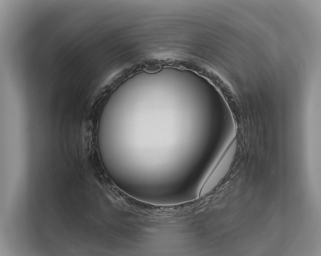 X0000112730968200908201322