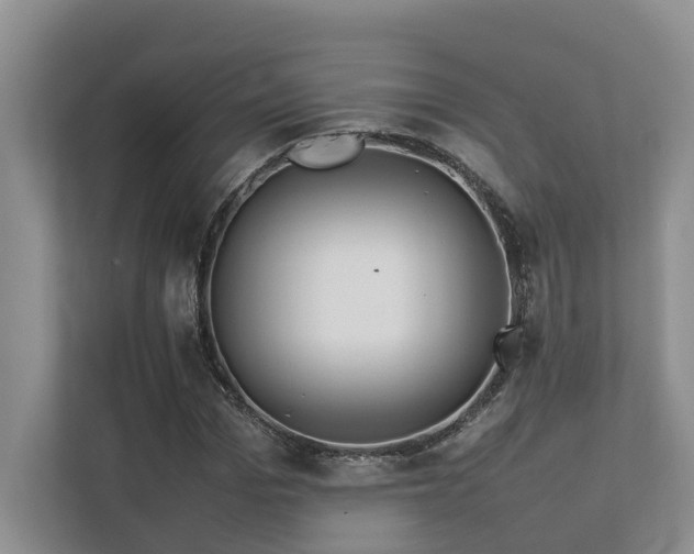 X0000112730969200908201322