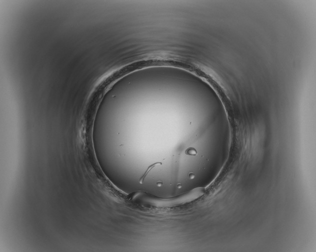 X0000112730971200908201322