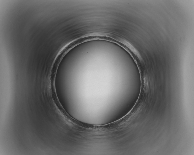 X0000112730972200908201322