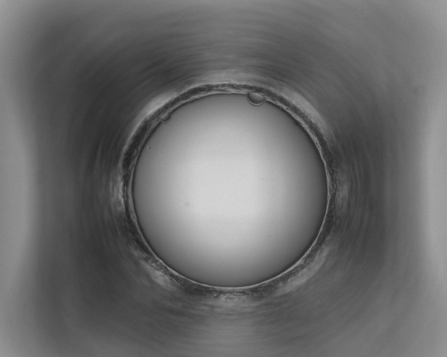 X0000112730974200908201322